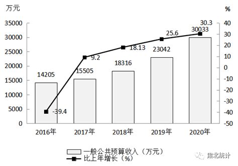 (酒泉市)2020年肃北县国民经济和社会发展统计公报-红黑统计公报库