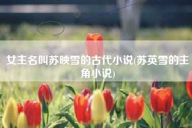 《桃运小村医》最新目录,免费在线阅读,桃运小村医TXT全集下载-天地中文网