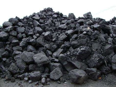 全球主要煤炭生产国资源分布情况 - 能源界