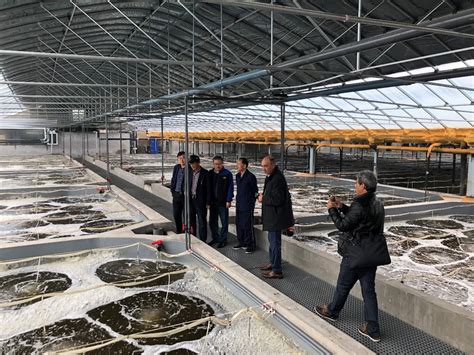 黄海水产研究所“对虾工厂化循环水高效生态养殖技术”入选2021年农业主推技术