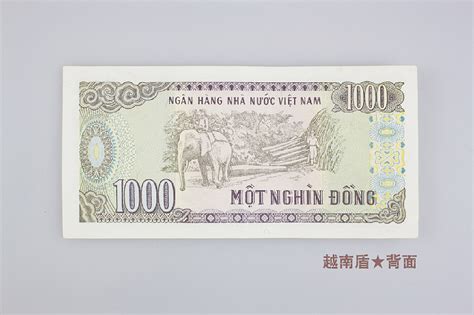 越南盾图片