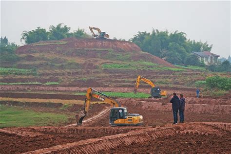合川：推进高标准农田建设 让“粮田”变“良田”_重庆市农业农村委员会