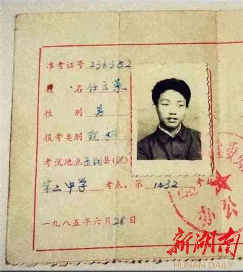金麟岂是池中物(莲羊)图片