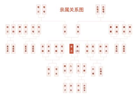 亲戚关系图图片