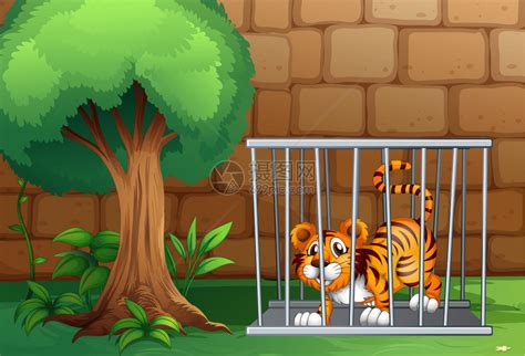 老虎在动物园的笼子里