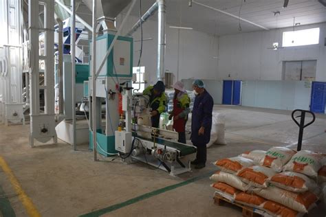 带你走进五常大米加工工厂，体验大米的生产流程