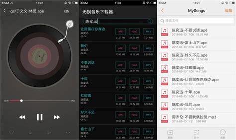 苹果顶级无损音乐播放器app-苹果最好的无损音乐播放器app-ios公认音质最好播放器软件-浏览器家园