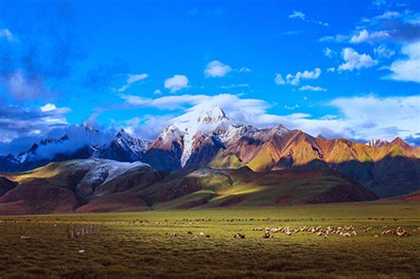 张家界阿凡达山脉的壮丽景色高清图片下载-正版图片507287771-摄图网