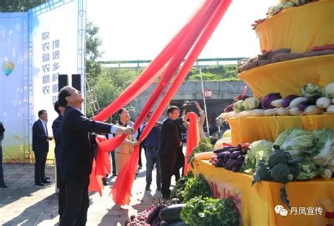 商洛市2019年“中国农民丰收节”在丹凤县启动_丹凤县人民政府