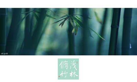 【茂林修竹摄影图片】北京生态摄影_太平洋电脑网摄影部落