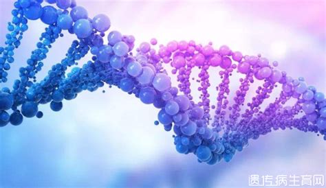 17种常见遗传病基因检测|遗传病|基因检测|家族史_新浪新闻