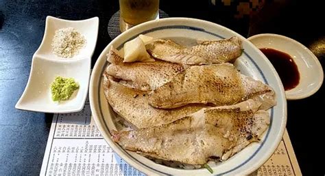 喉黑鱼 的图像结果