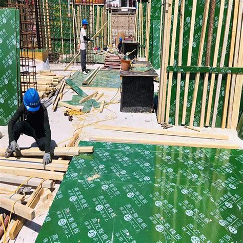 关于绿色塑面建筑木模板你可能还不是很了解，金生水这有更详细的介绍