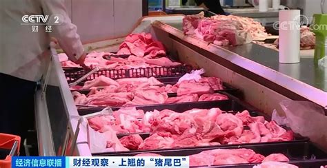 猪粮比回升至二级预警区间 第06版:市场 20230309期 四川农村日报