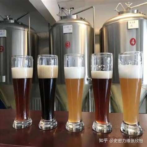 精酿鲜啤酒有什么设备 精酿啤酒设备设备 啤酒酿造设备供应商 - 知乎