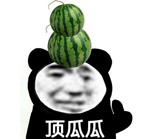 搞怪表情包图片
