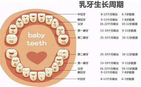 5个简单口腔保健方法，让你拥有健康的牙齿和美丽的微笑 – 美豆芽健康饮食养生网