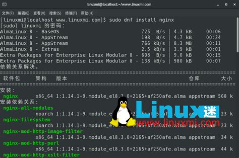 Linux安装nginx详细步骤