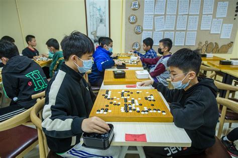 江苏省第二届智力运动会象棋比赛在扬中开赛__财经头条