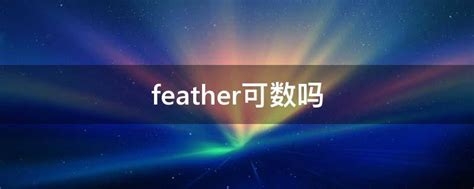feather可数吗 - 业百科