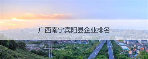 广西南宁宾阳县企业排名 广西宾阳县有多少人口【桂聘】