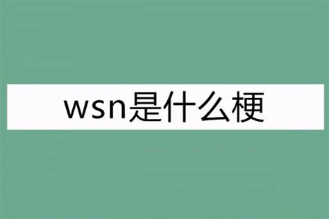 wsn是什么意思网络用语(ws是什么意思 网络语) - 考资网
