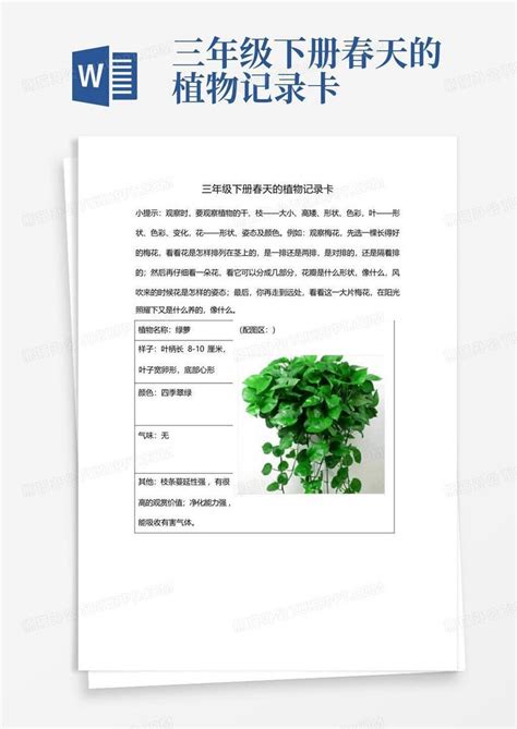 盆栽种植花卉记录表Word模板下载_编号qrxjrepj_熊猫办公