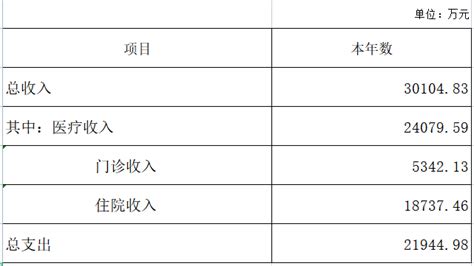 2022年财务决算情况-医院公告-芜湖市第四人民医院