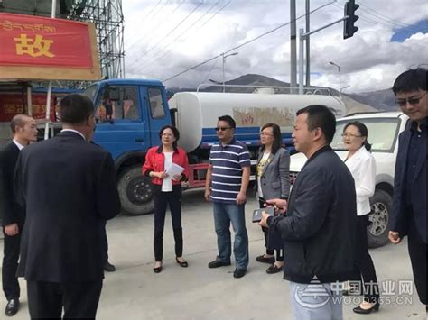 西藏自治区领导赴拉萨市达孜区木材交易市场调研-中国木业网