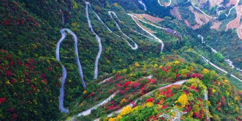 （大美中国）重庆巫山：天路冬景更迷人_手机新浪网