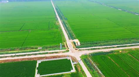徐州建成5万亩以上高标准农田示范基地30个_荔枝网新闻