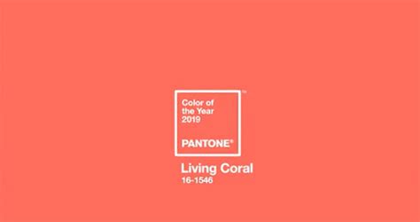 CMF| Pantone2019年度代表色”珊瑚色“会成为流行色吗？_CMF设计军团-站酷ZCOOL