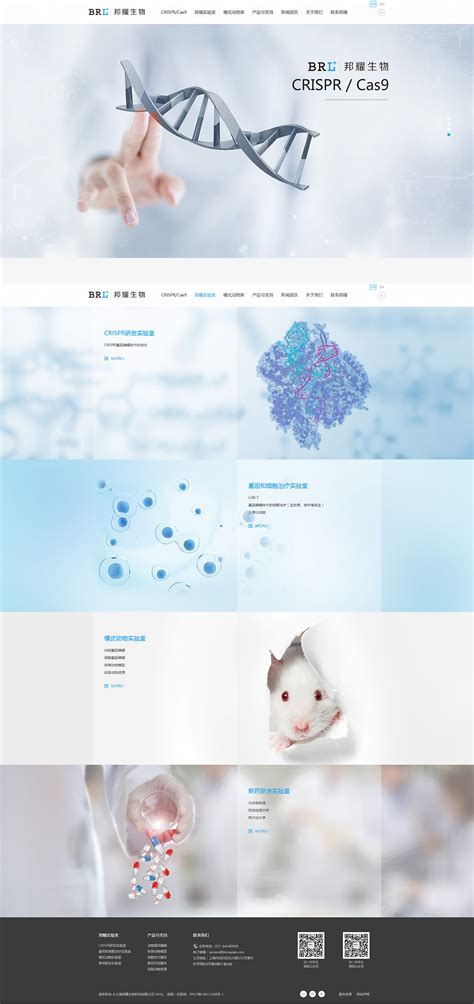 邦耀生物科技-生物技术研发类seo网站优化-品牌推广-派琪-PAIKY