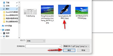 WPS怎么插入图片？在WPS中插入图片的教程-天极下载