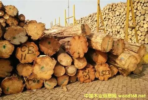 木材行业信息服务-中国木业信息网