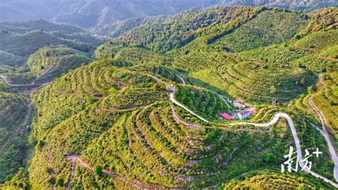 全省首个！梅州成功创建国家级文化生态保护区凤凰网广东_凤凰网