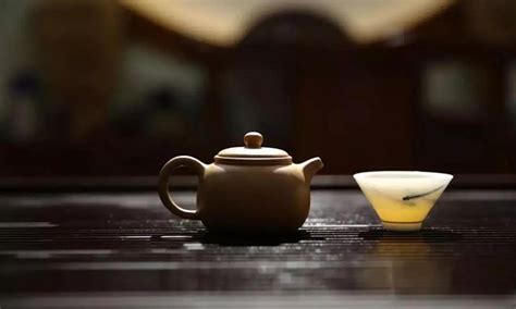 什么样的茶叶可以煮着喝 煮茶的好处有哪些_绿茶的泡法_绿茶说