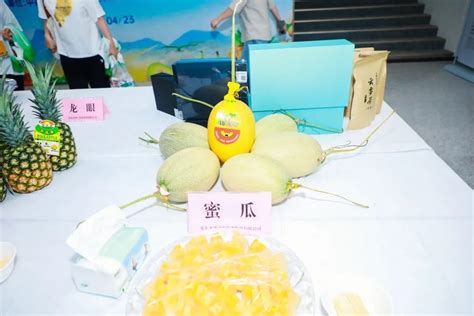 乐东农产品区域公用品牌“富域乐东”发布 招商推介现场签约23.3亿元-新闻中心-南海网