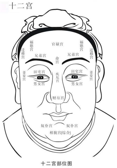 面相：面相五行歌