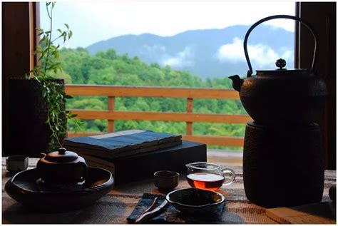 喝茶风景图片,梅花图片风景图片,喝茶的人图片_大山谷图库