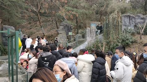 南京红山森林动物园沉浸式互动球幕影院来了