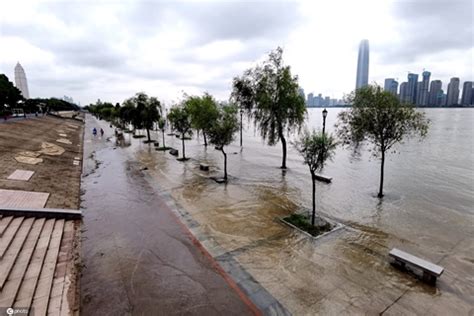 同一地点拍摄武汉江滩今昔对比，“老水务”讲述照片背后的故事_武汉_新闻中心_长江网_cjn.cn