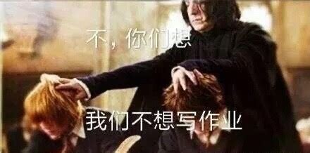 哈利&#183;波特表情包图片