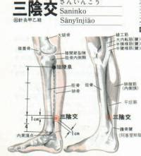 三阴交位置图图片