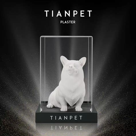 TIANPET天宠2022全新宠物纪念品发布,宠物骨灰雕塑|宠物|骨灰|雕塑_新浪新闻
