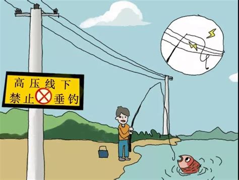禁渔期长江芜湖段有人“电打鱼” 落网是肯定的！_手机新浪网