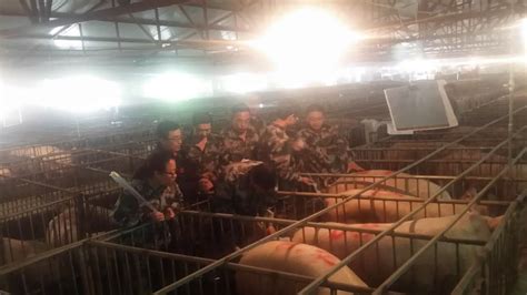 第四届中国养猪经济高峰论坛会圆满成功 | 中国动物保健·官网