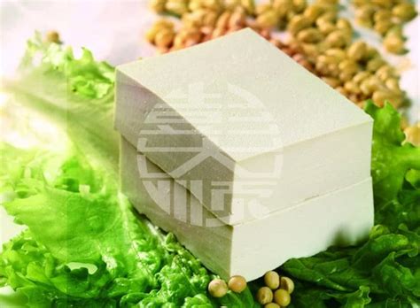 用全自动豆腐机生产豆腐，一斤黄豆可以生产多少斤豆腐？__财经头条