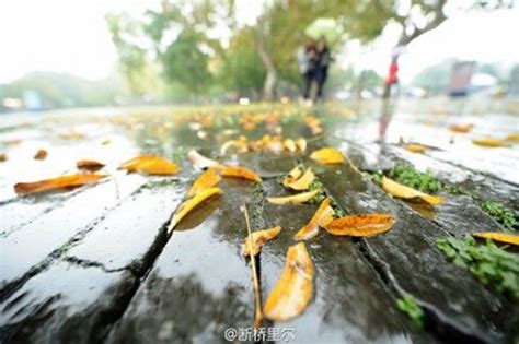 一周以内有没有雨,这一周有雨没雨,今天有雨吗_大山谷图库