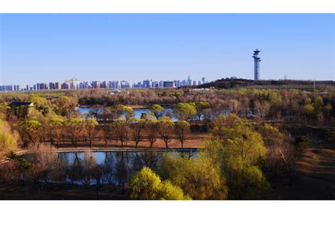 北京奥林匹克森林公园喜获2011芝加哥绿色优秀设计奖-景观新闻-筑龙园林景观论坛